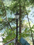 lightpost at halfway point.jpg